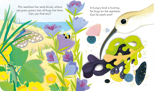Peep Inside the Seashore 翻翻書